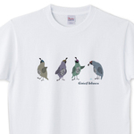 t-shirt346.jpg