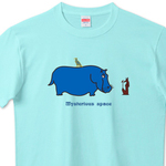 t-shirt348.jpg